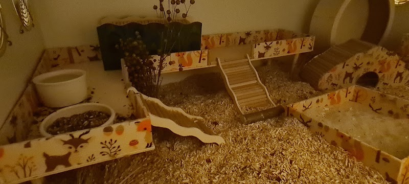 Jennys Hamster Bastelstube