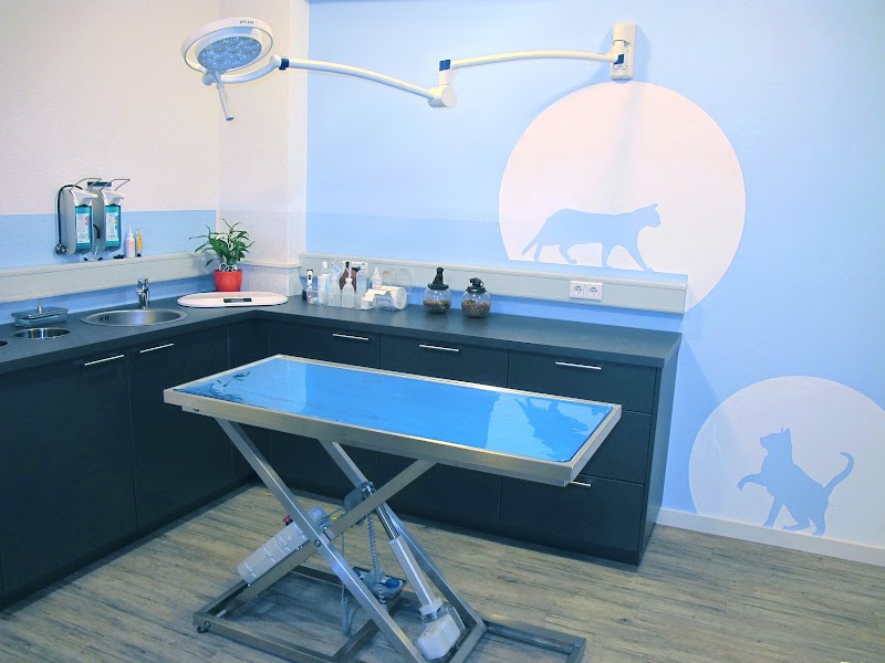 Tierarztpraxis Herzogstraße