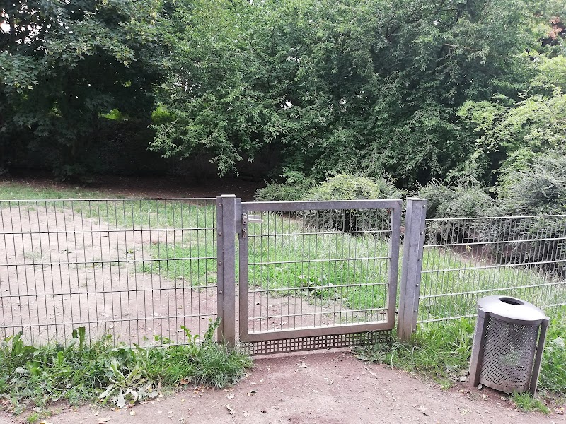 Hundefreilauf Räuscherweg Bilk