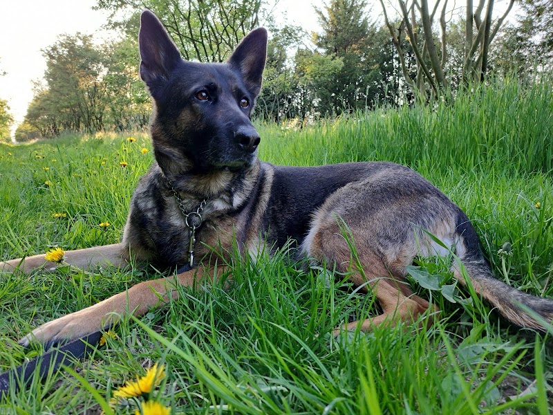 Kleintierpraxis Neumann u. Roos-Schliepkorte