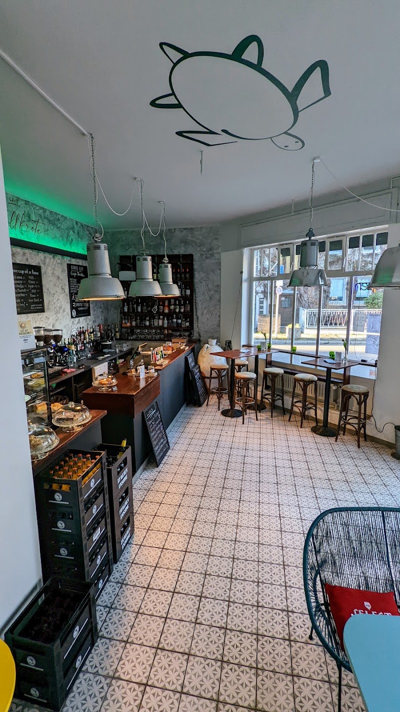 Dr.med.vet. Stephanie Schaaff