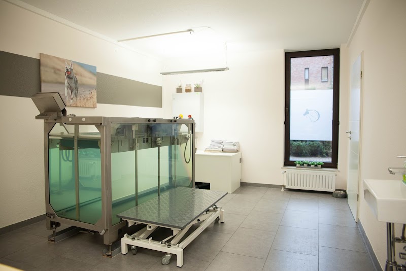 Tierphysiotherapie Melanie Kujadt