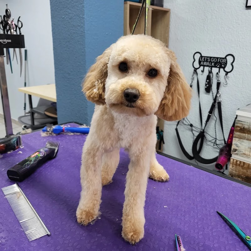Hundefriseur Pfotentreu