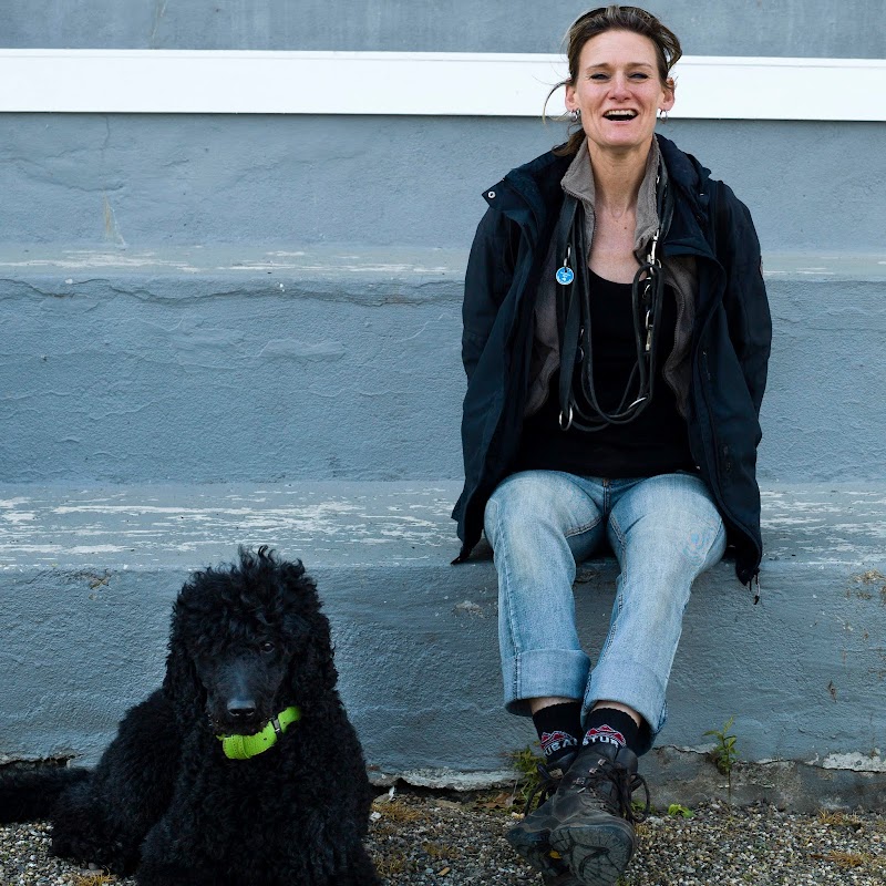 Mobile Hundeschule Düsseldorf (Hundetraining & Hundebetreuung) Für Düsseldorf und Umgebung