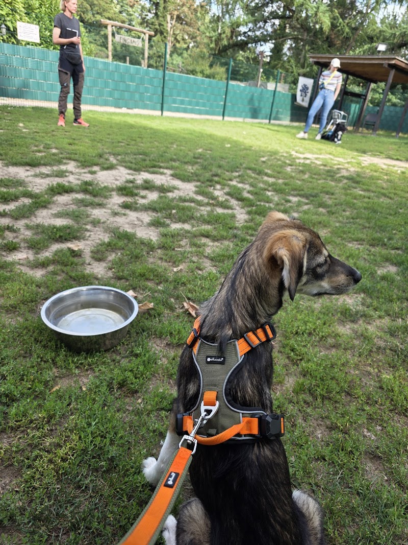 Hundeschule Vogt - Erkrath-Unterfeldhaus