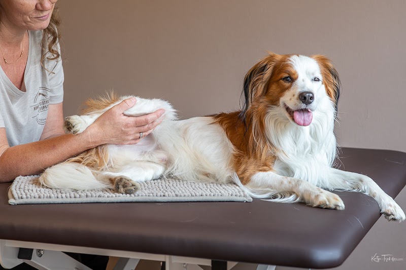Hundephysiotherapie & Osteopathie Claudia Weber