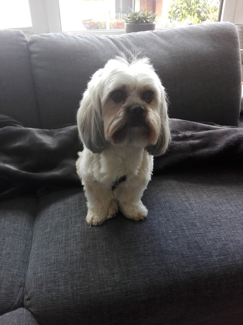 Hundepflege Birgitts Hundelädchen