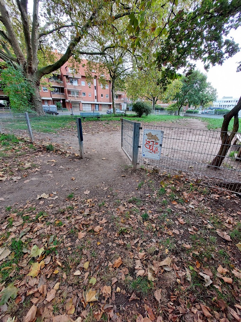 Hundefreilauf Am Stufstock
