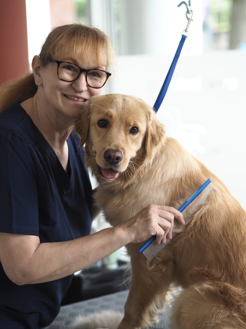 Hundesalon Oberkassel