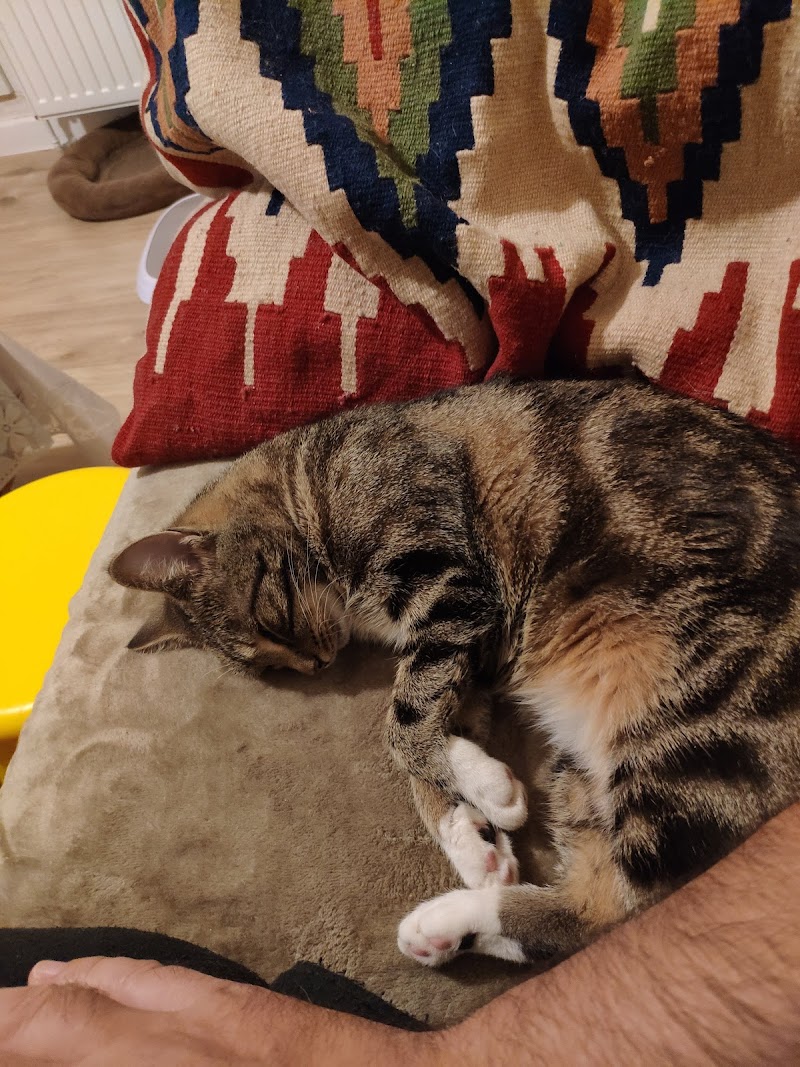 Reinhold Zude Tierarzt