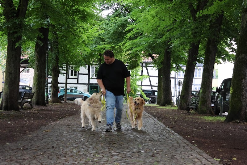 Schnüffelschule Simons