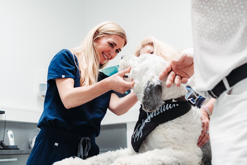 Tierarzt Besserer * Kleintierzentrum