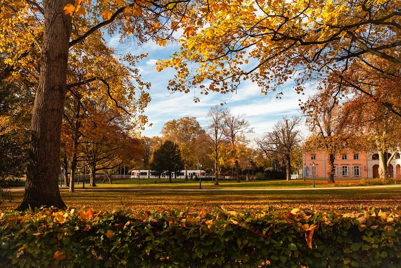 Hundeplatz im Hofgarten