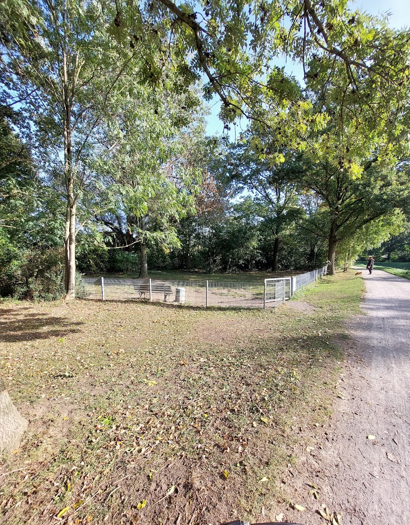 Hundefreilauf Eselsbach