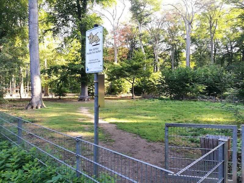 Hundeauslaufplatz Niedeider Wäldchen