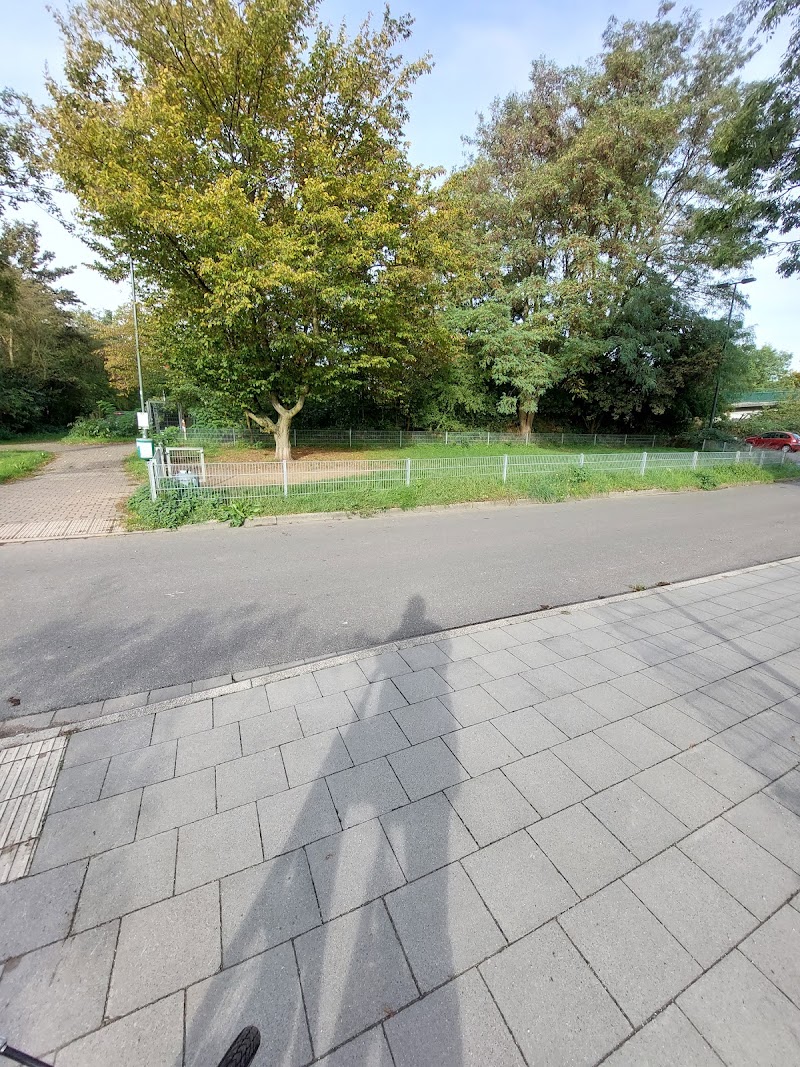 Hundefreilauf Ellerkirchstraße