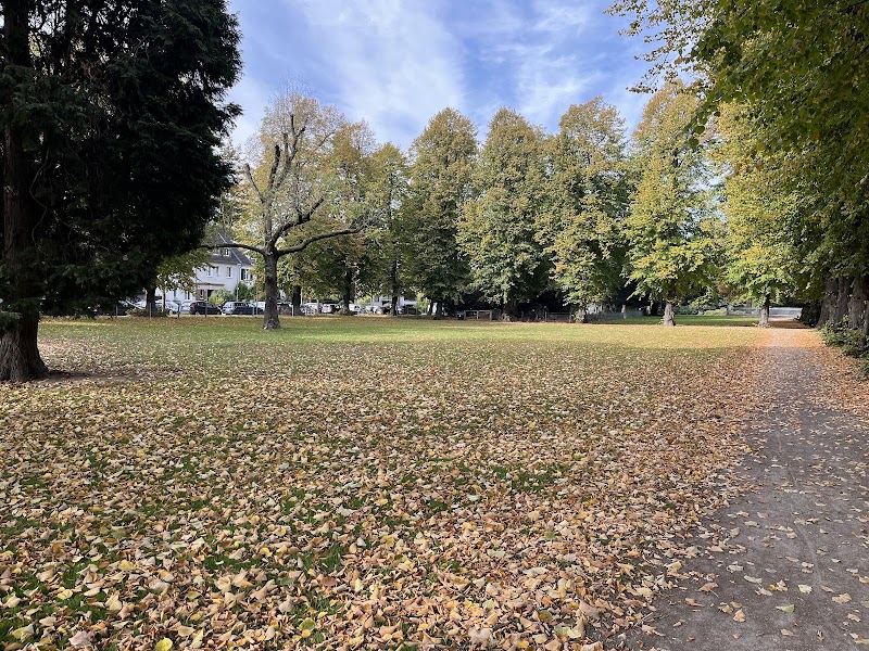 Hundefreilauf Volmerswerther Straße Bilk