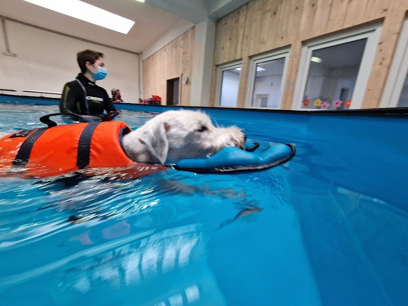 Gangwerk Praxis für Hundephysiotherapie