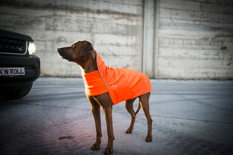 Rock `n`Roll Dogs GmbH & Co. KG