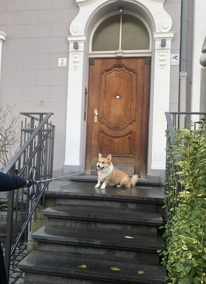 Tierarztpraxis Katrin Jansen