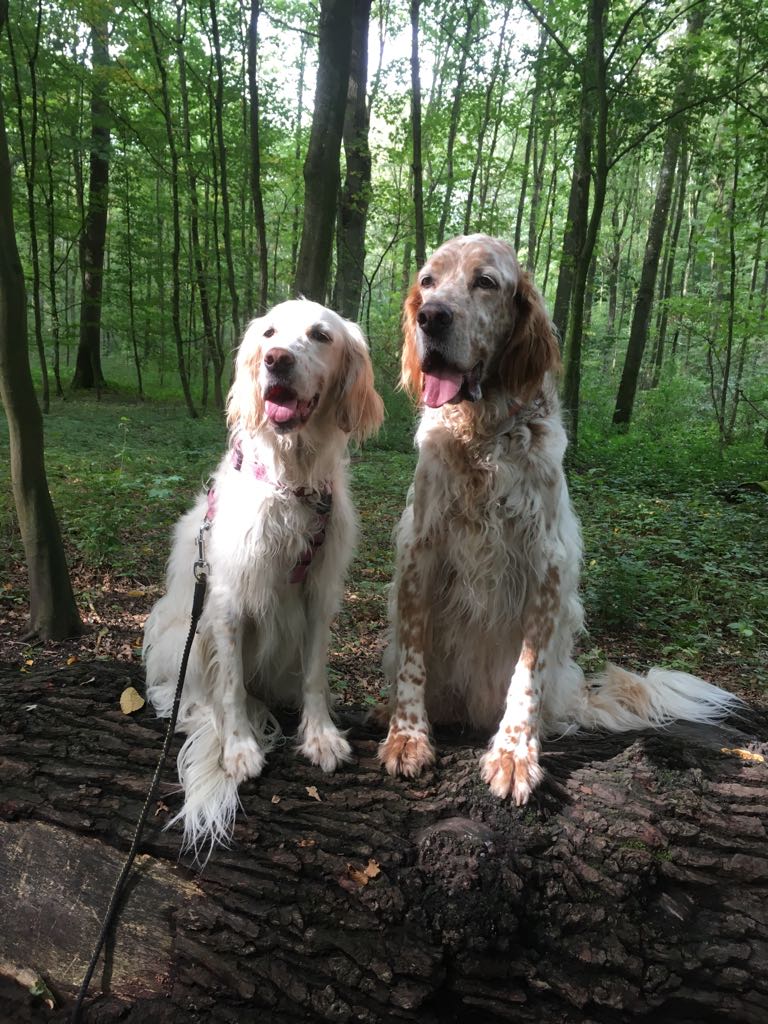 Kleintierpraxis Astrid Köhnen