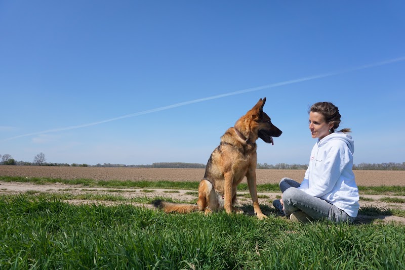 Hundeschule Düsseldorf-Süd: Vierbein&Ich