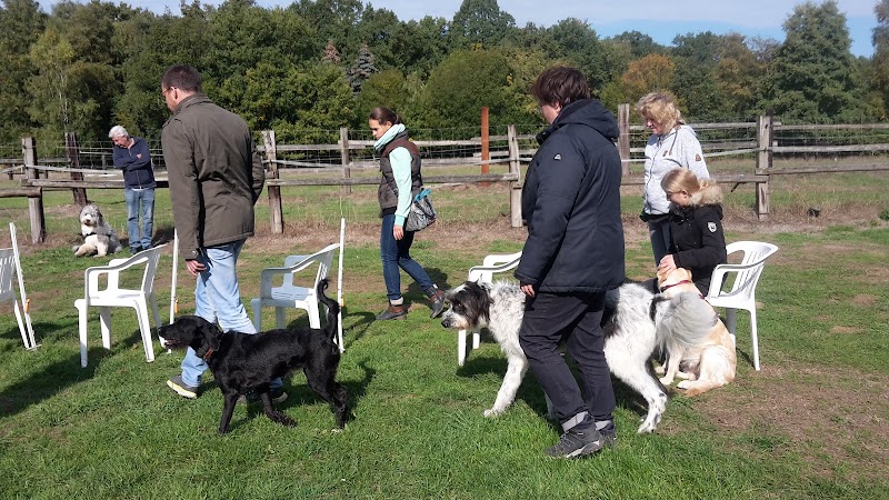 Hundeschule HundeArt