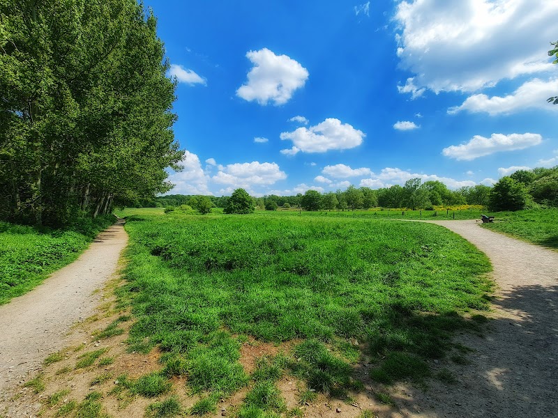 Hundewiese / Hundefreilauf Jaberg