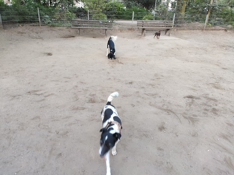 Hundewiese Floragarten