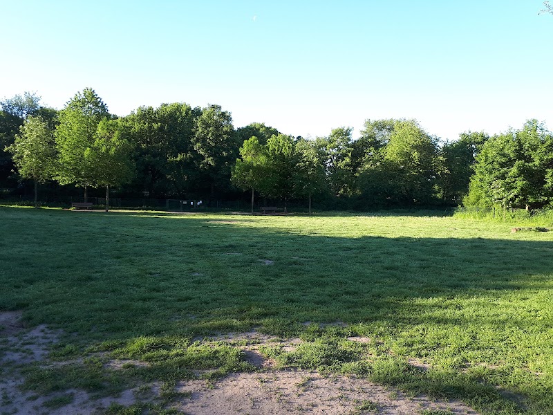 Hundewiese Eingezäunt