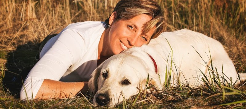 DOG Solution Düsseldorf