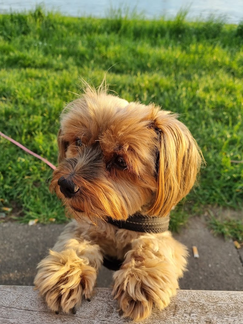 Tierarztpraxis Dr.medic.vet.Bogdan Canale