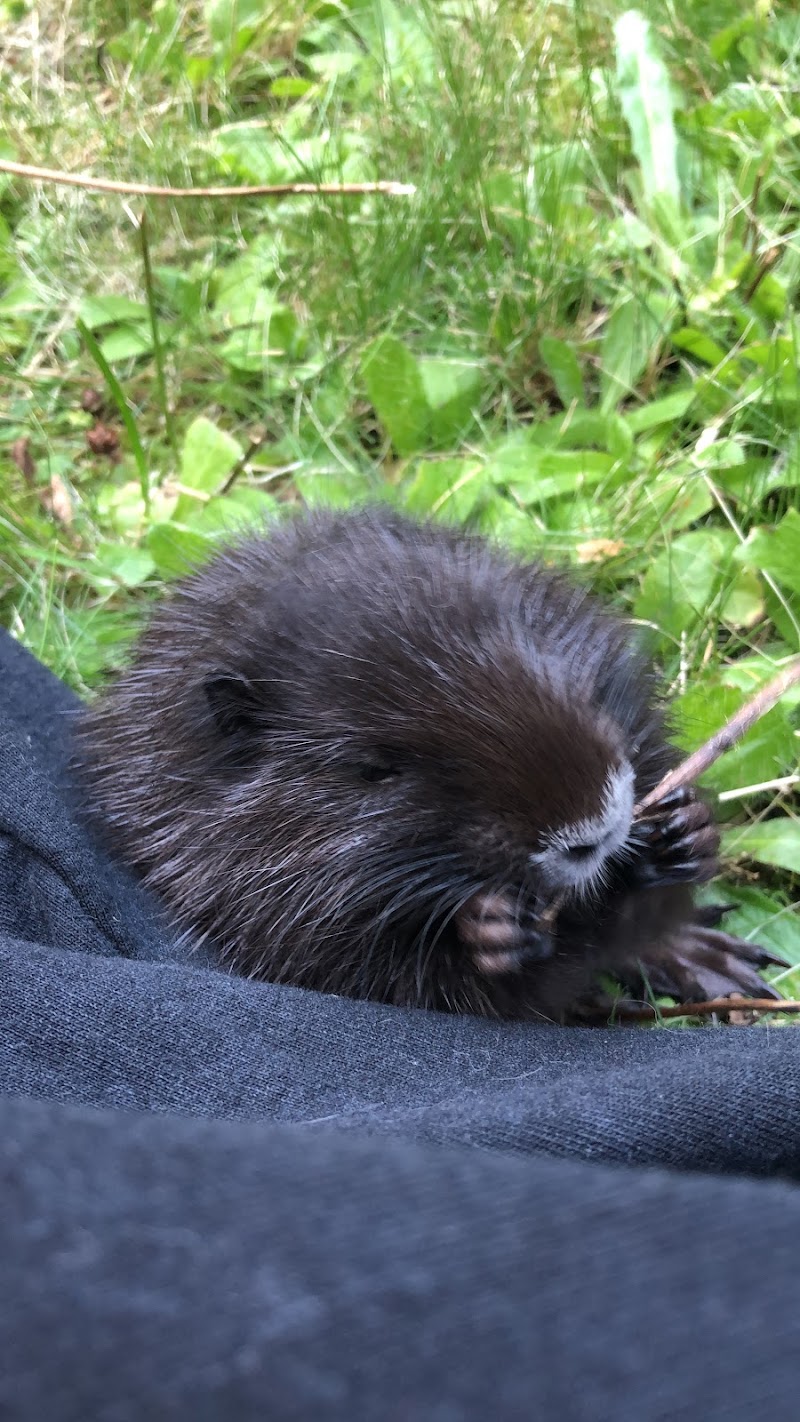 Dr. Bronnert Bastian