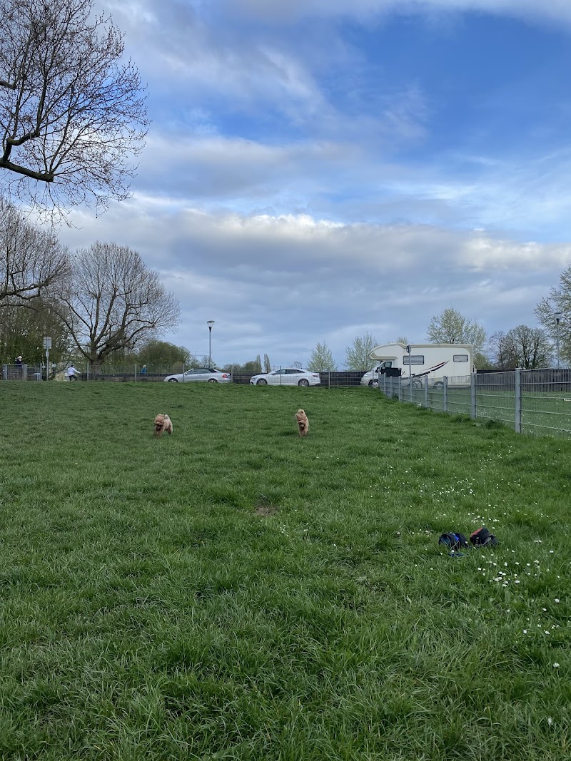 Hundeauslauf an der Theodor-Heuss-Brücke