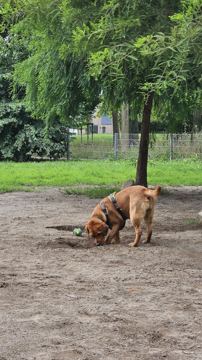 Hundewiese Ostpark