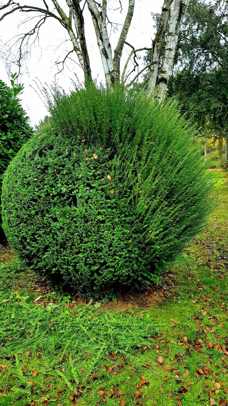 Tierarztpraxis Roßkothen-Nebel