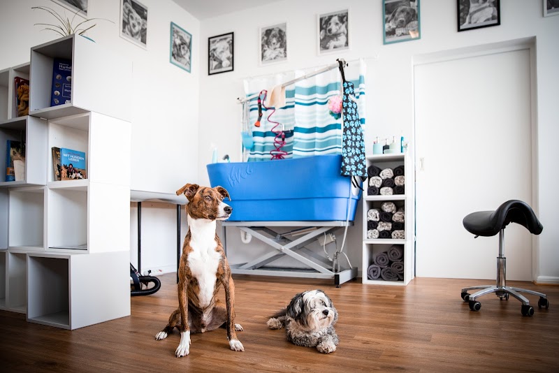Pepegino Hundesalon Erkrath