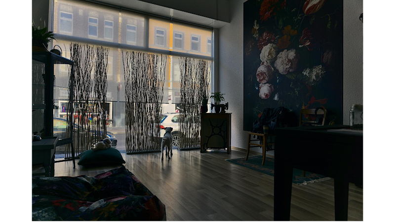 Winston's Hundesalon