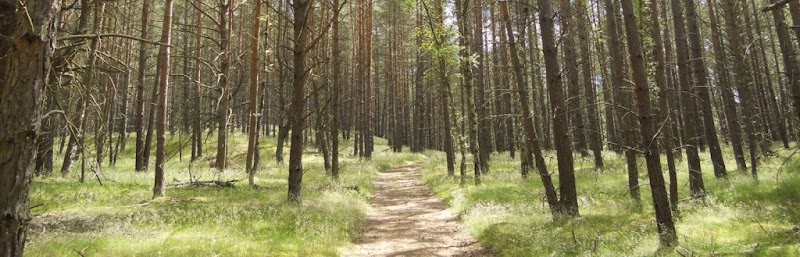 Doggy Guard Conny Dercksen