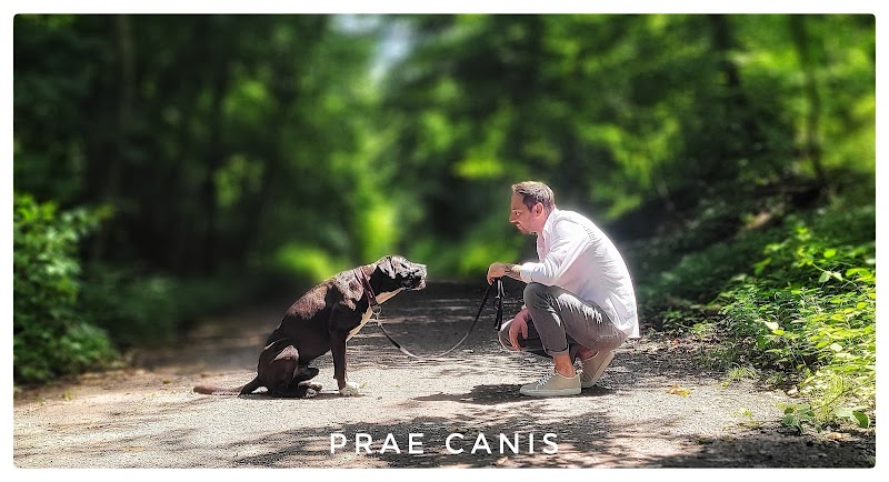 Prae Canis - Hundeverhaltenstherapie