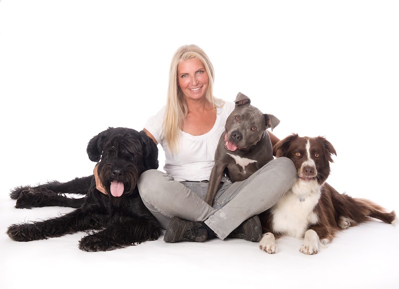 Hundeschule Dogwhisper