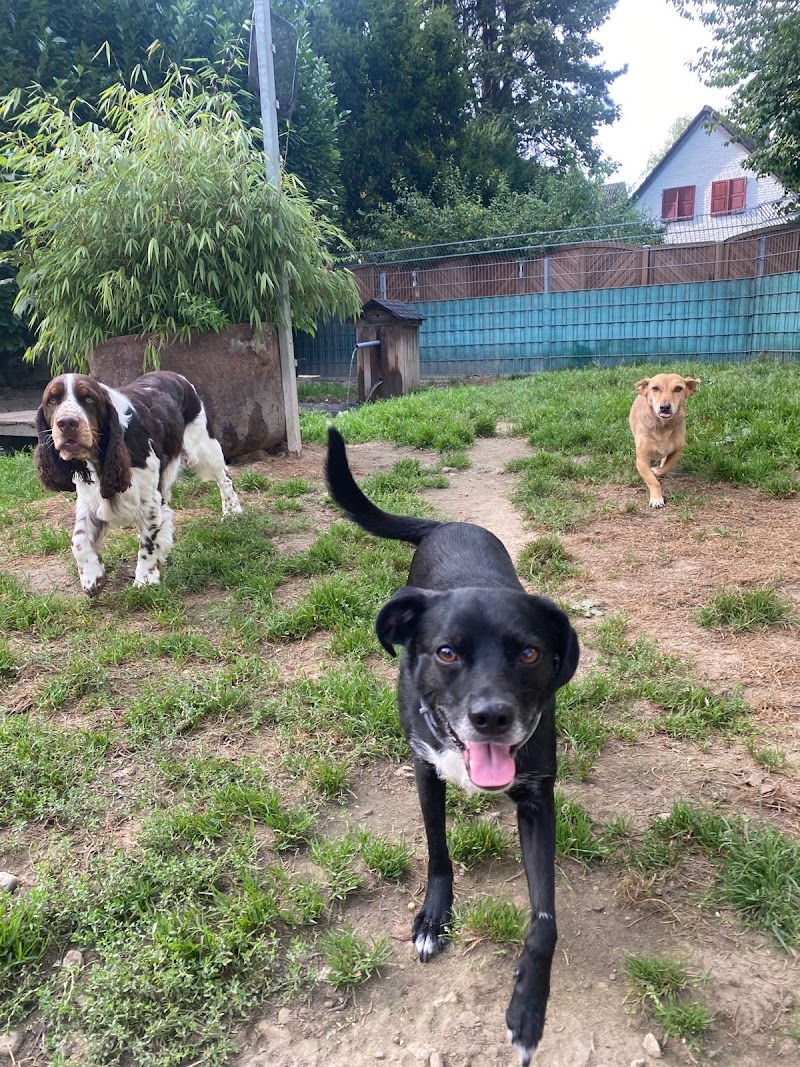 Pfötchenhotel Hilden