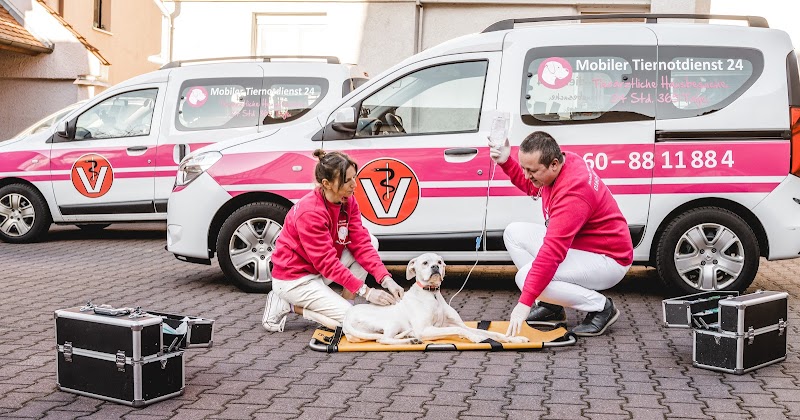 Mobiler Tiernotdienst 24