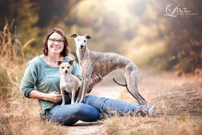 Fiffi-Fit | Hundeosteopathie Düsseldorf